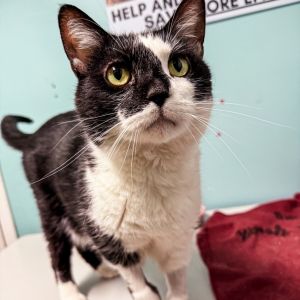 Zen, Senior Male unknown