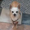 Molly photo 5