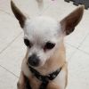 Molly photo 6