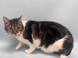 Thelma, Senior Female unknown