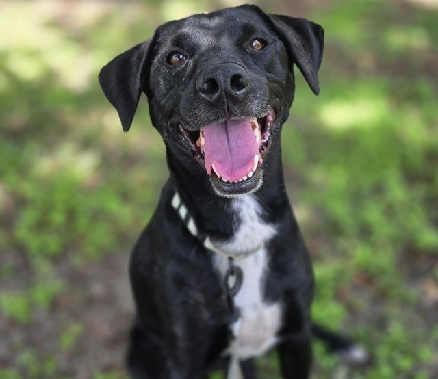 NALA