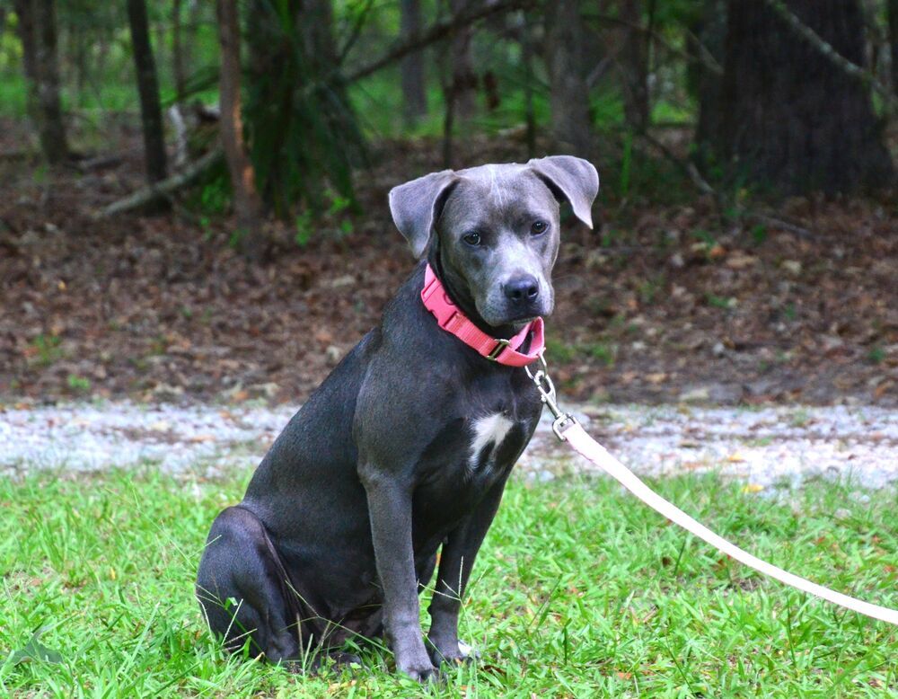Josie