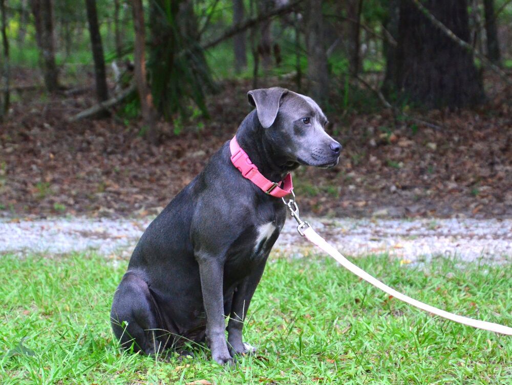 Josie