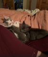 Jude &amp; Lucy photo 2