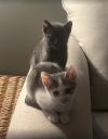 Jude &amp; Lucy photo 4
