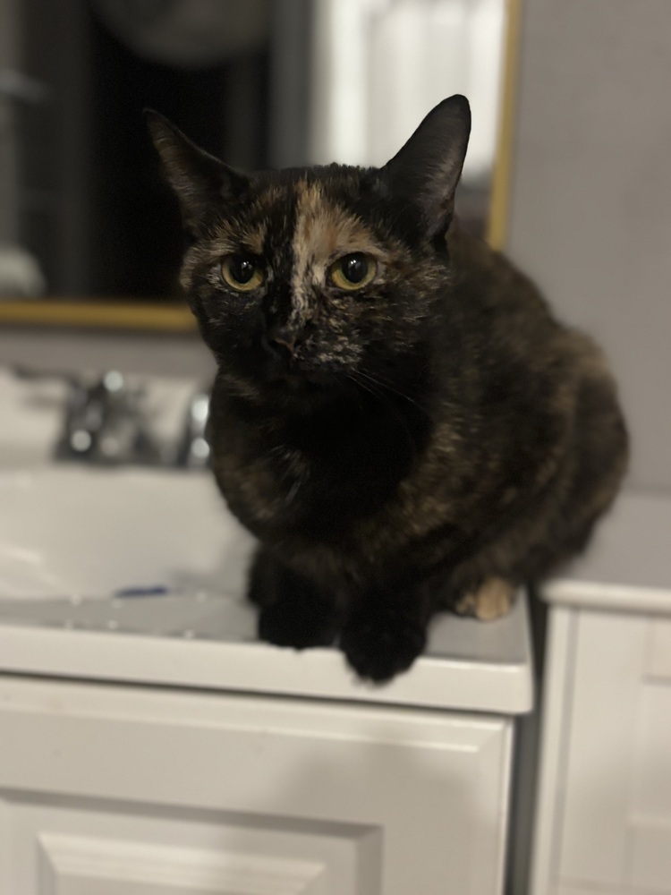 Chloe