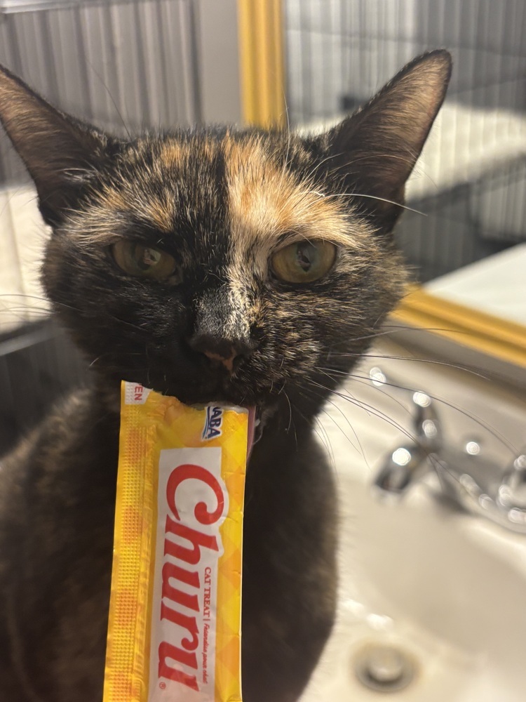 Chloe