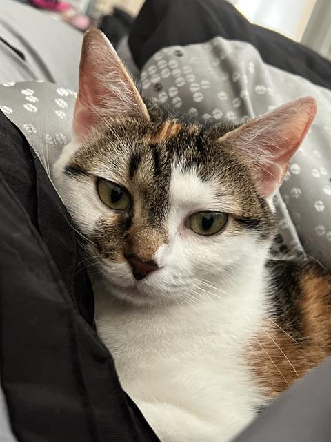 LUNA