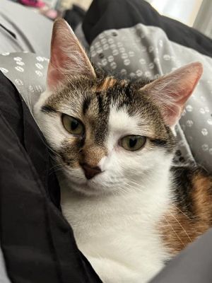 LUNA, Young Female unknown