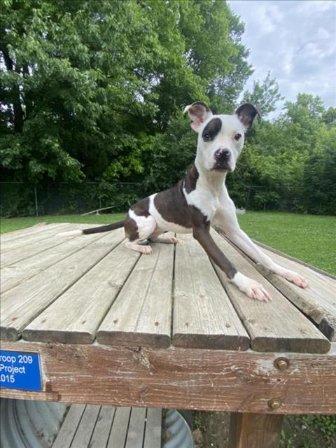 JUNO