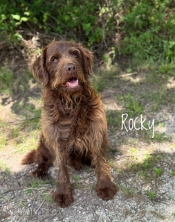 Rocky 125258