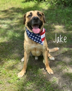 Jake 125128