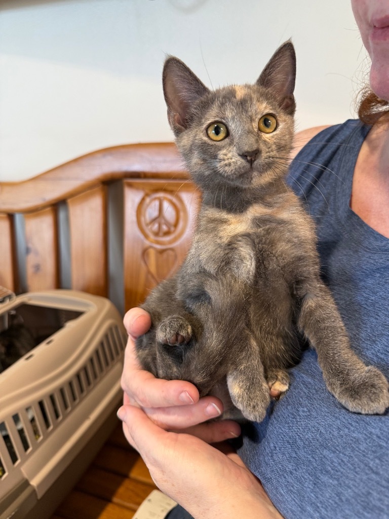 Edith (Presley)