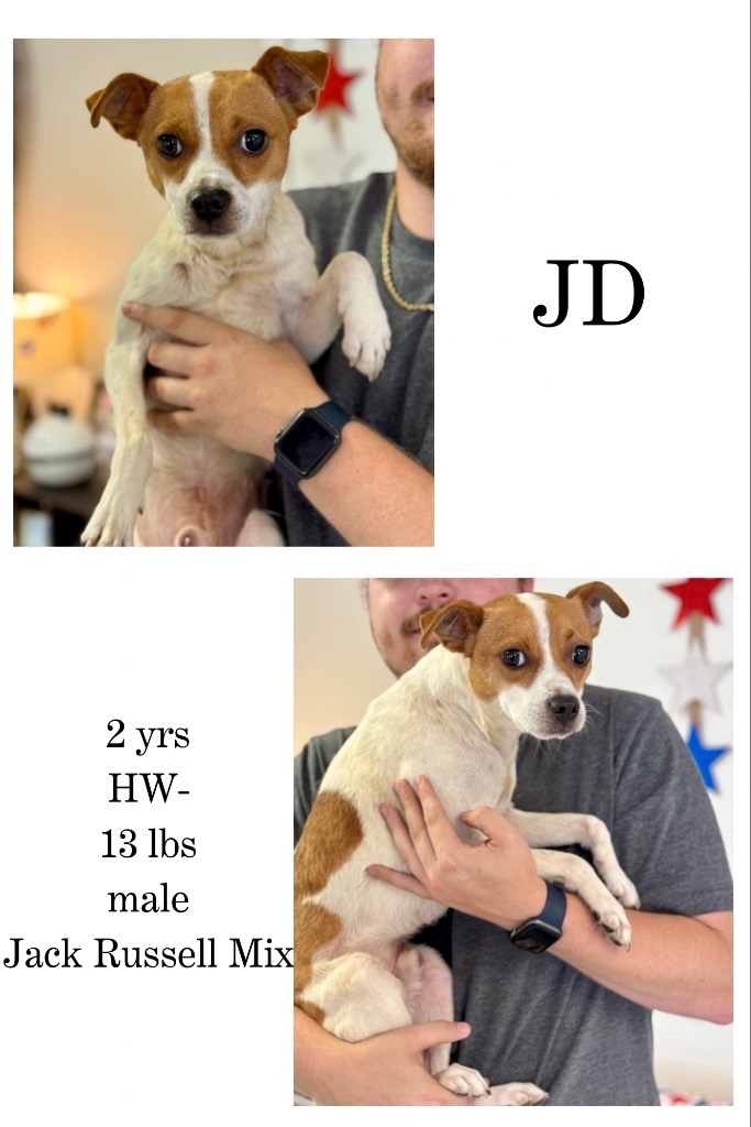 Jack Daniel (JD)