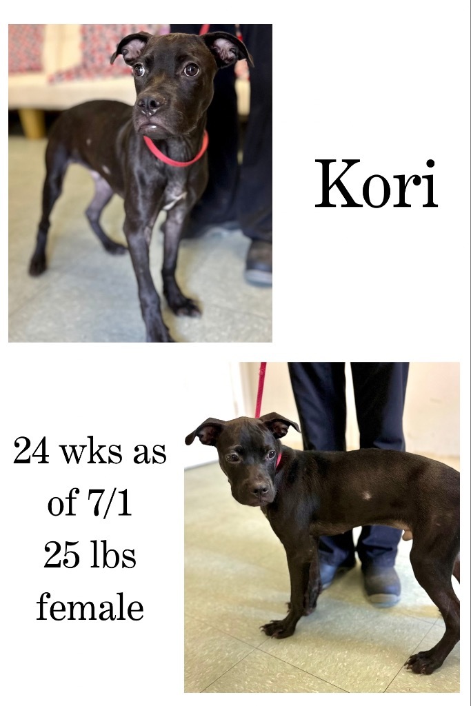 Kori