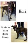 Kori photo 1