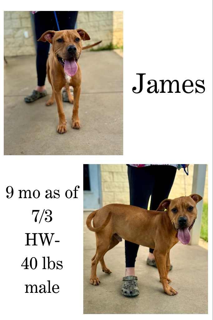 James
