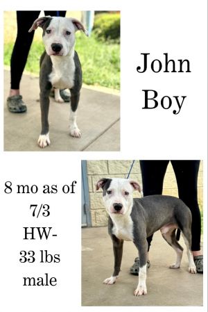 John Boy, Young Male unknown