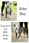 John Boy photo 1