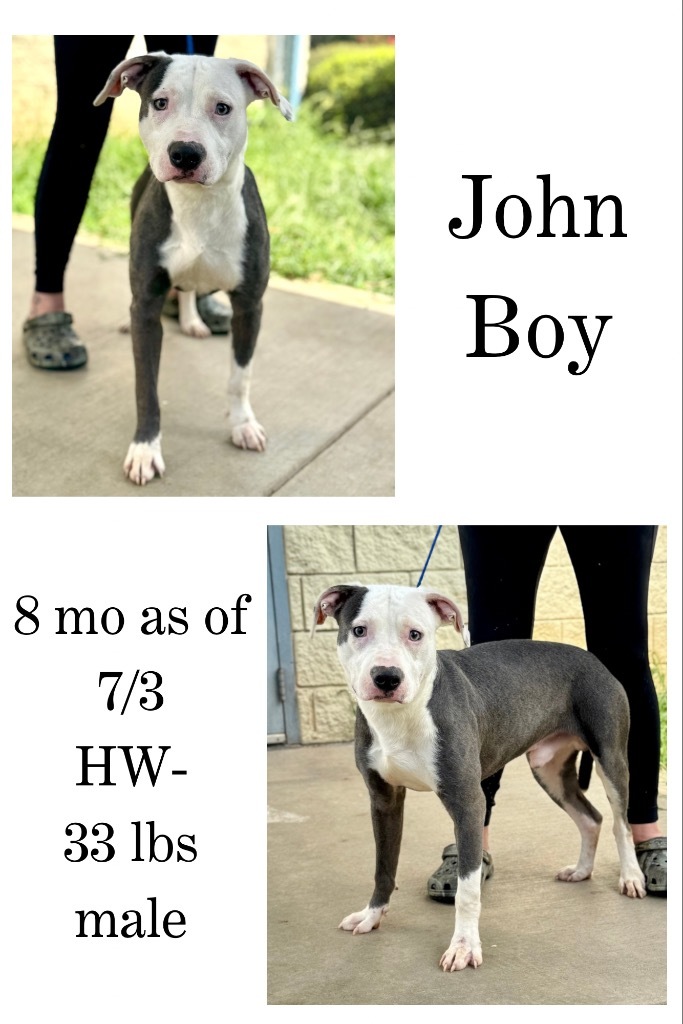John Boy