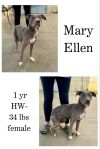 Mary Ellen photo 1