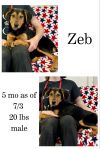 Zeb photo 1