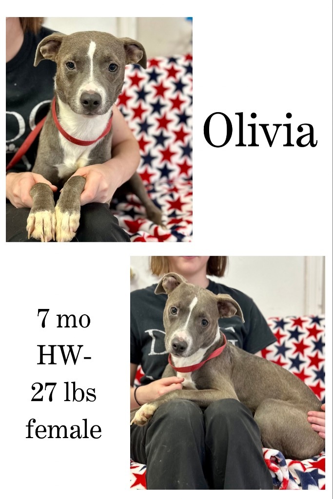 Olivia