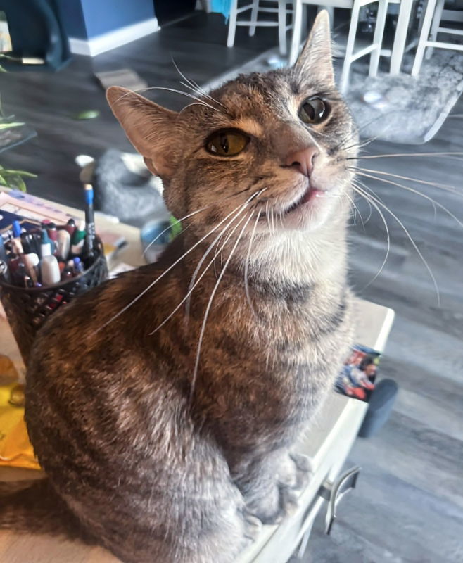 TT !!Sponsored Adoption Fee!!