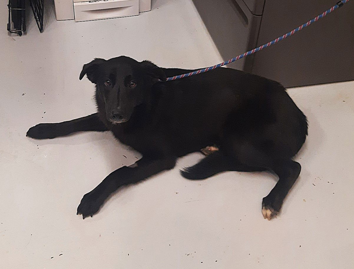 Beauty (Prison Program)