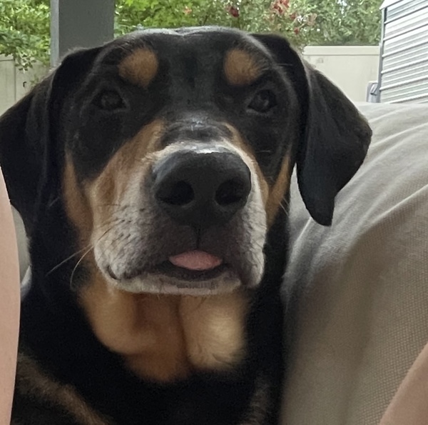 Hudson