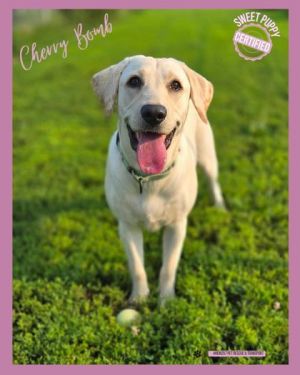 Cherry Bomb aka Hilda, Young Female unknown