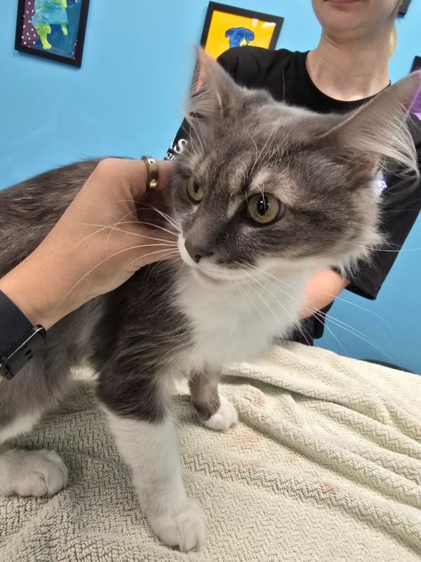 Bridgette thumbnail 2