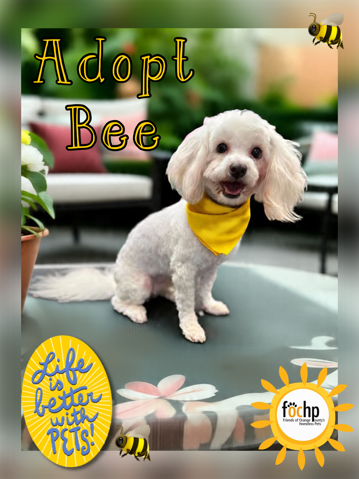 Bee