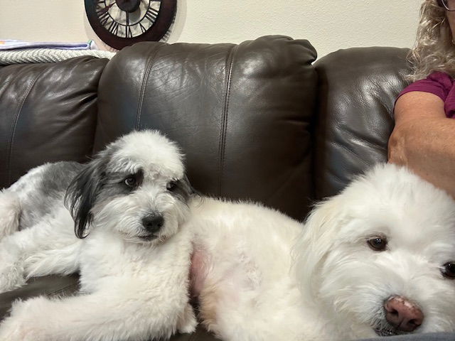 KEN AND BARBIE