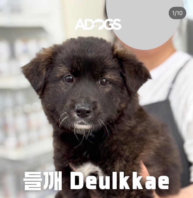 DEULKKAE
