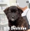 DEULKKAE photo 2
