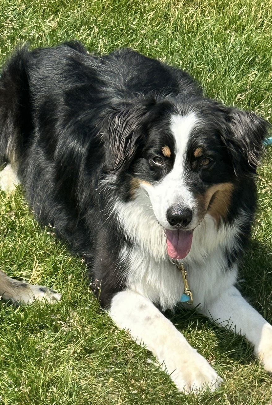 Luka