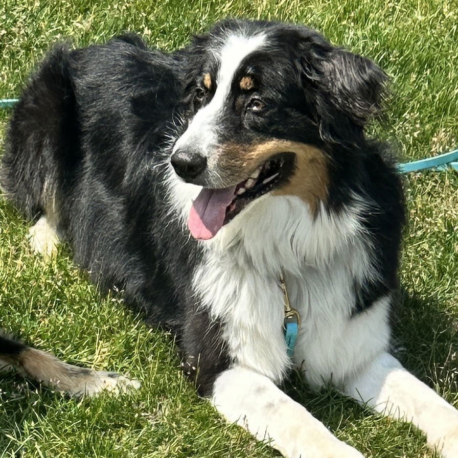 Luka