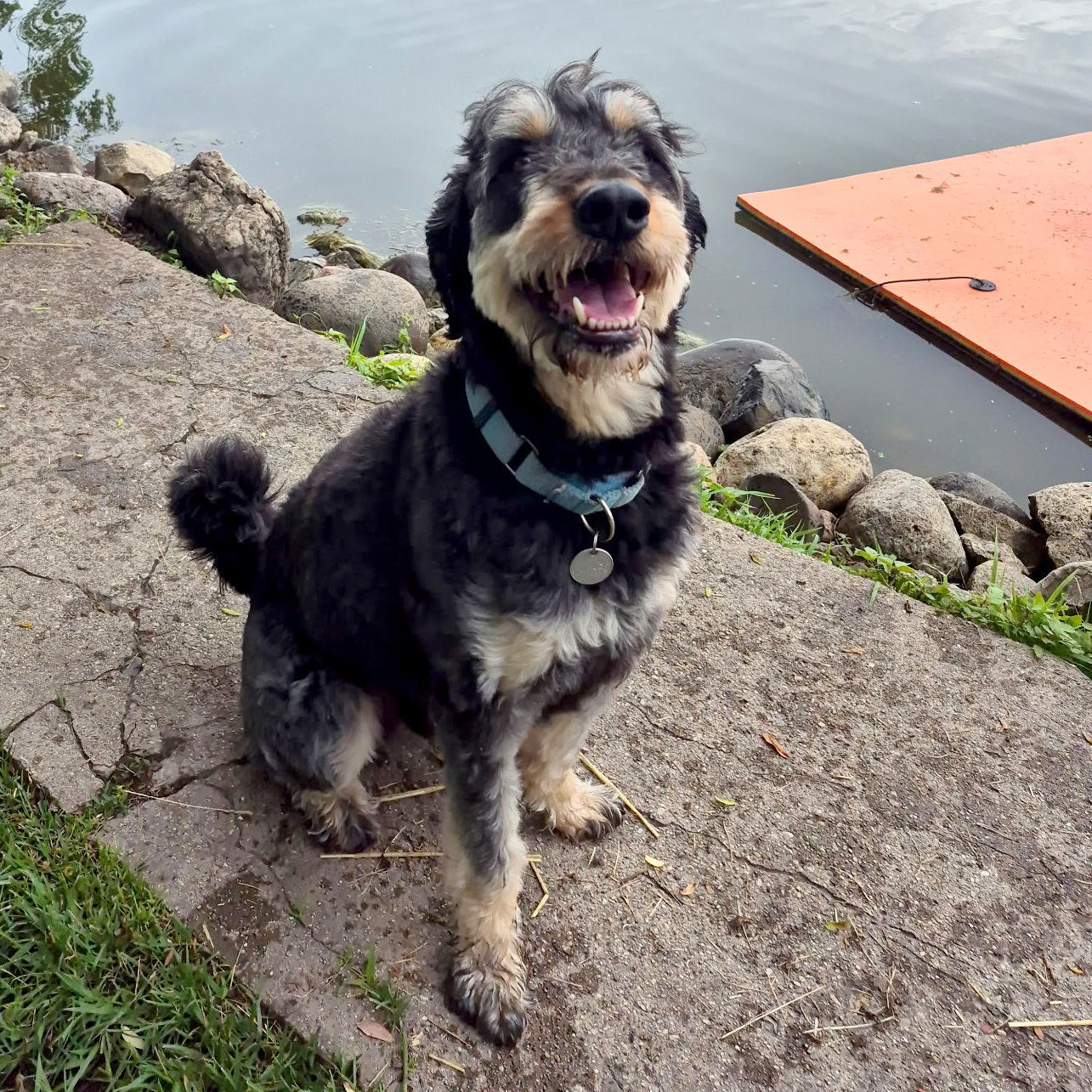 Odin