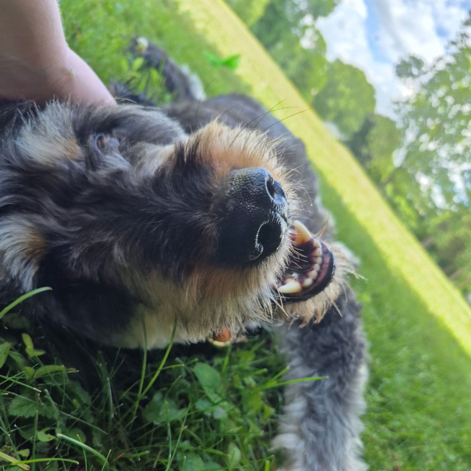 Odin