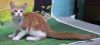 250753 Bakugo photo 2