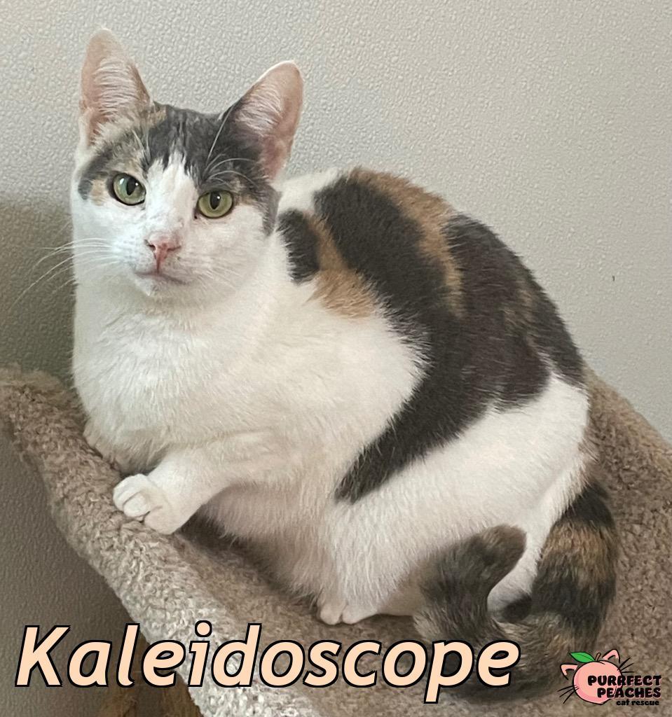 Kaleidoscope