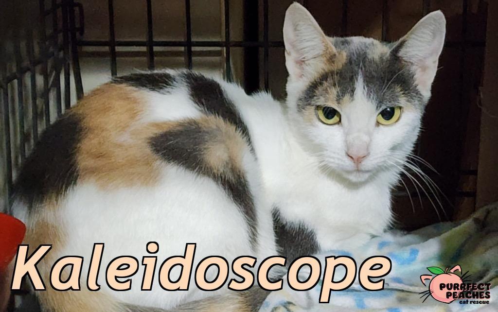 Kaleidoscope