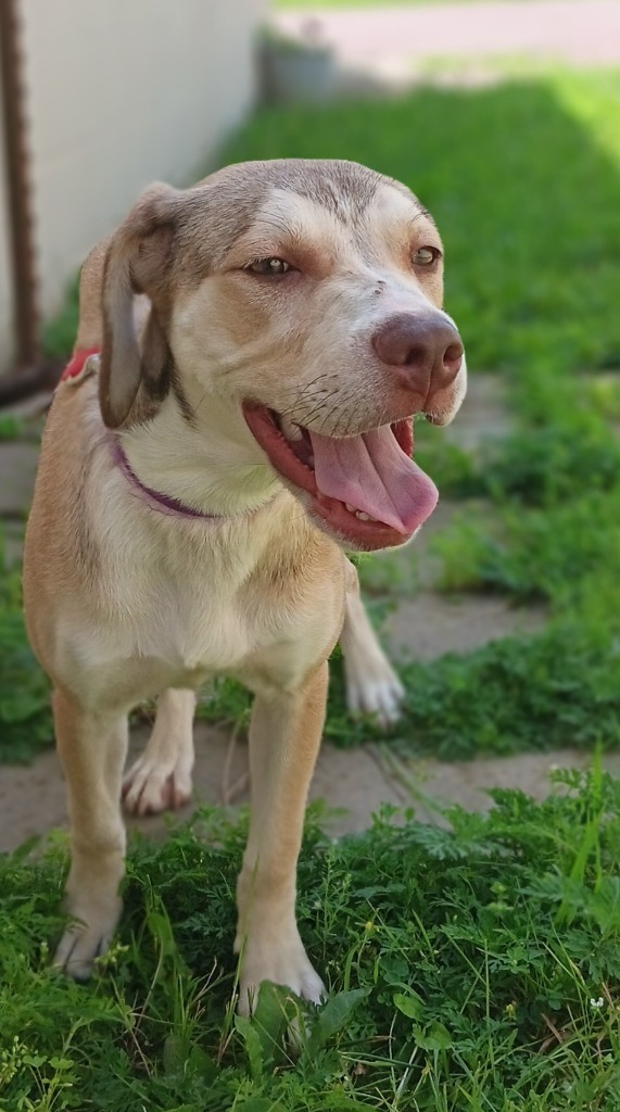 Dora