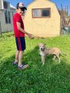 Dora photo 5
