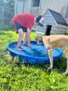 Dora photo 6