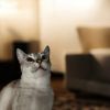 Lily F photo 1
