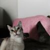 Lily F photo 2
