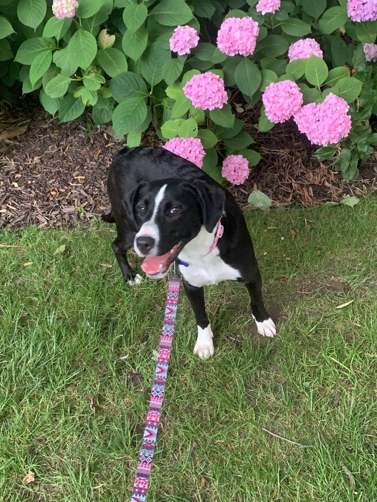 Susie