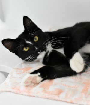 Rosita is such a sweet and beautiful little girl She is so curious and always wants to be around he